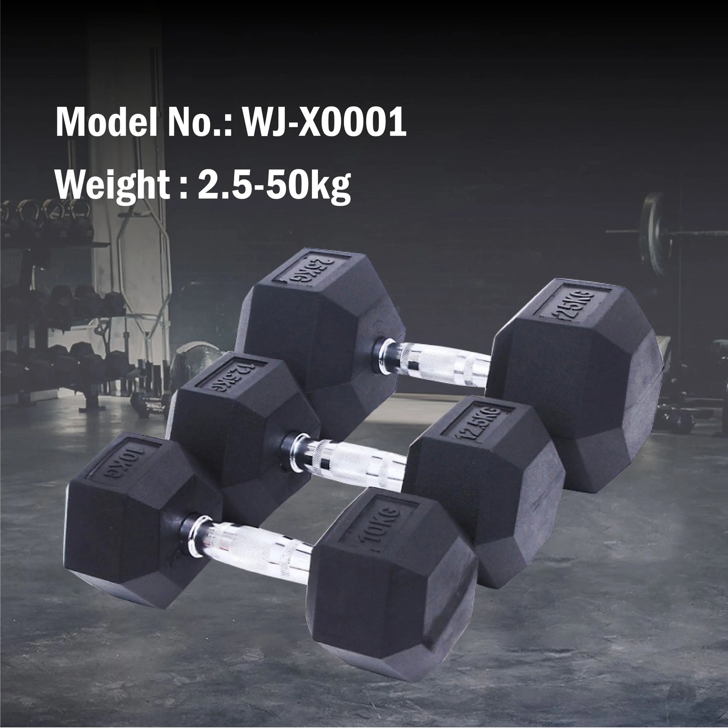 Professional Rubber Hex Dumbbell for Heavy Lifting High Quality Coating Resists Chipping and Cracking