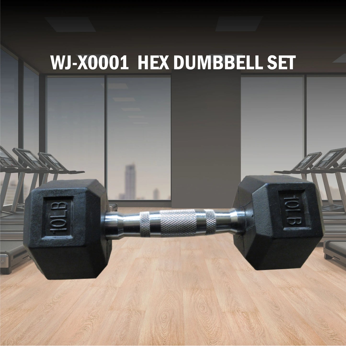 Professional Rubber Hex Dumbbell for Heavy Lifting High Quality Coating Resists Chipping and Cracking