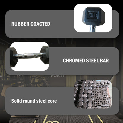 Professional Rubber Hex Dumbbell for Heavy Lifting High Quality Coating Resists Chipping and Cracking
